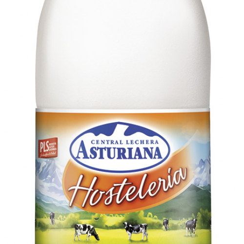 Leche Hostelería 0% 1